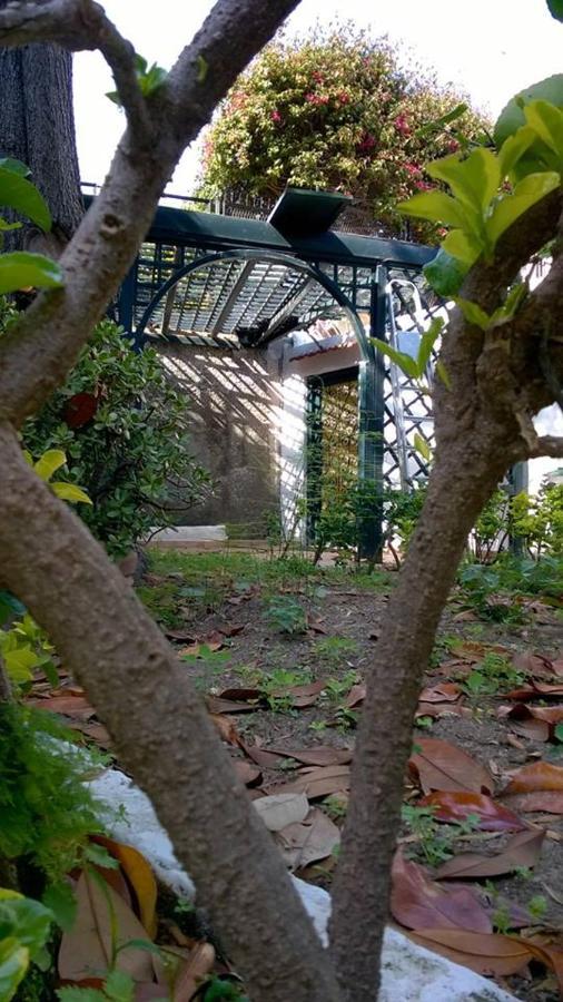 Villa Iscla Maison D'Hotes Іскія Екстер'єр фото